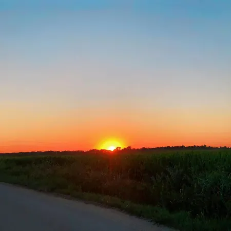 Elegant 1-bedroom Flat With Balcony Near Apartment